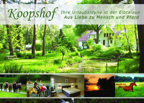 Seerose Alt Wendischthun Eksteriør bilde